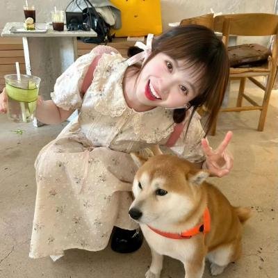 路易斯安那州的故事